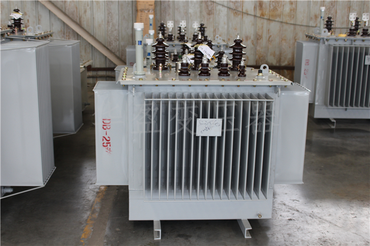 娄底S20-800kVA/10kV/0.4kV变压器